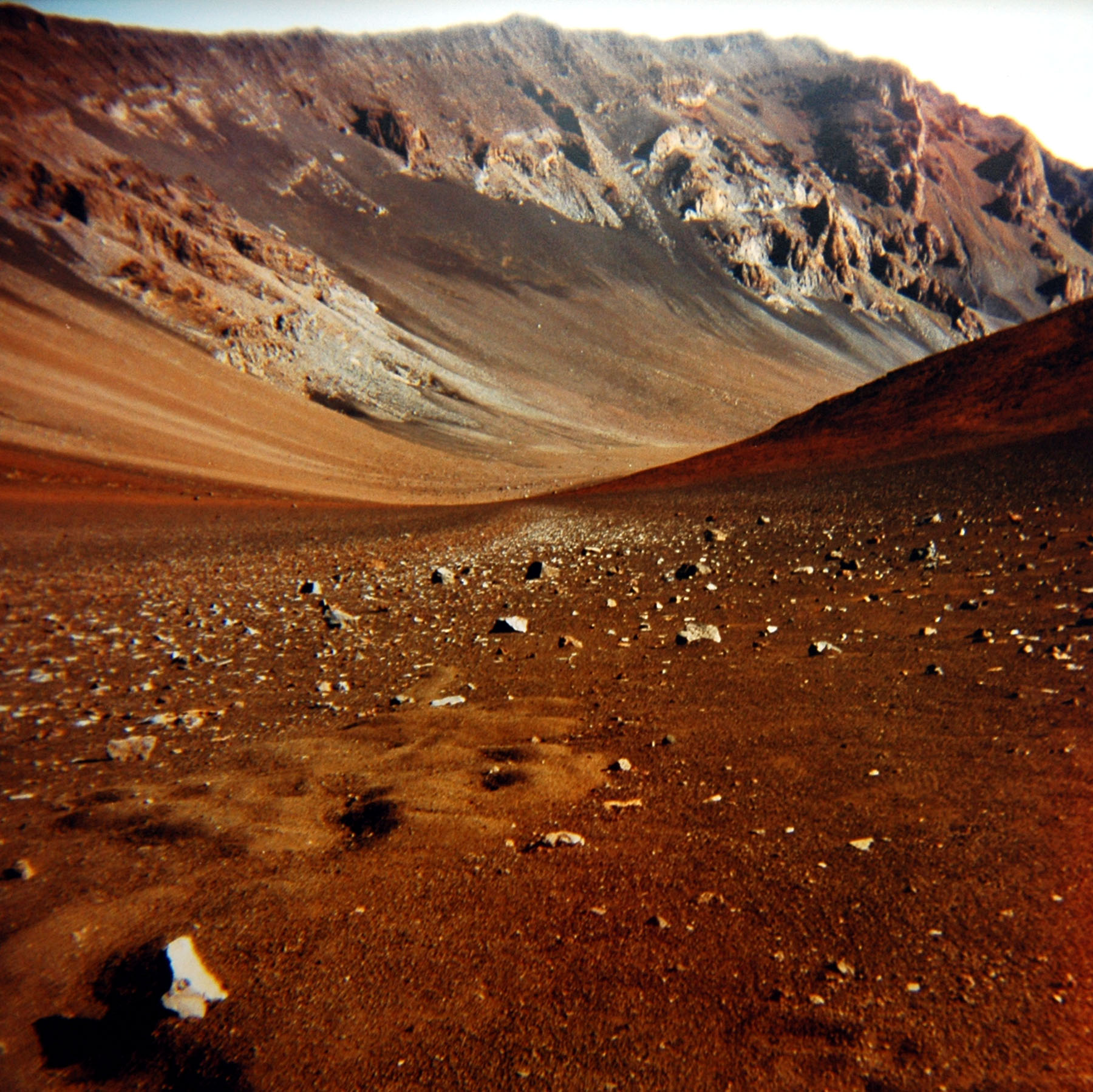 Popularity Poll Page 6 PopUpPortal